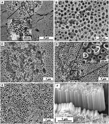 Optical and Electrochemical Properties of Self-Organized TiO2 Nanotube Arrays From Anodized Ti−6Al−4V Alloy